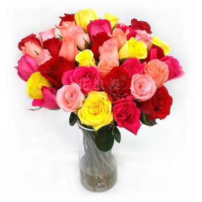 黃玫瑰花語解析及其在禮品花卉銷售中的應用