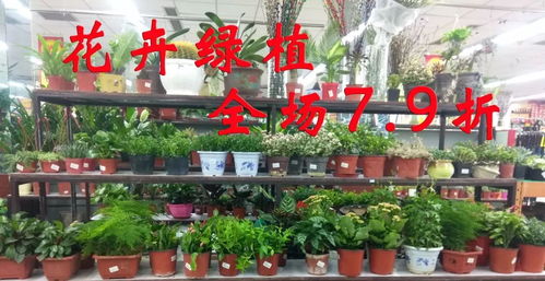年卉盛宴 花卉賀新年，全場7.9折送好禮