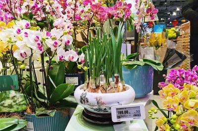 長寧各大商圈紅紅火火迎新春，禮品花卉銷售火爆顯年味